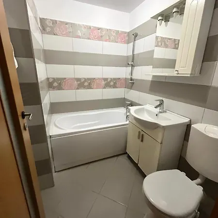Apartament Near The City Center Apartment Timisoara